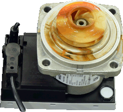 ig combi compact eco rf j18544 pmp impeller.gif